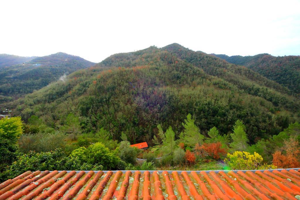 La Favorita Apricale B&B & Ristorante Quarto foto